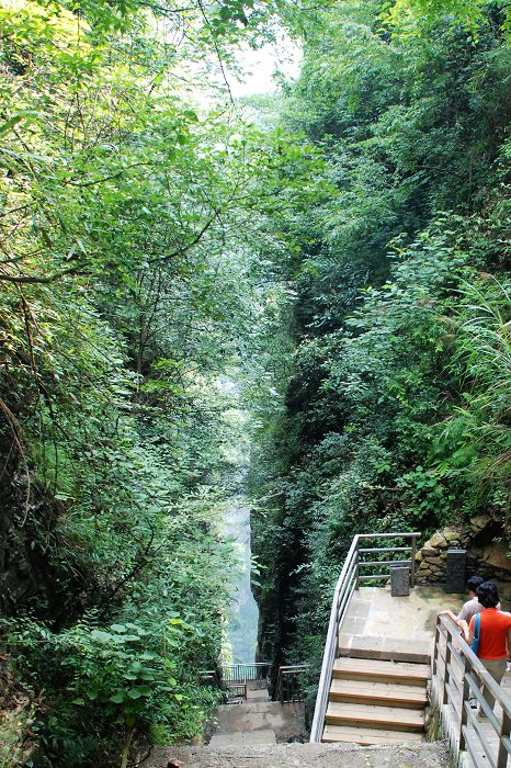 ���ҽ��{��